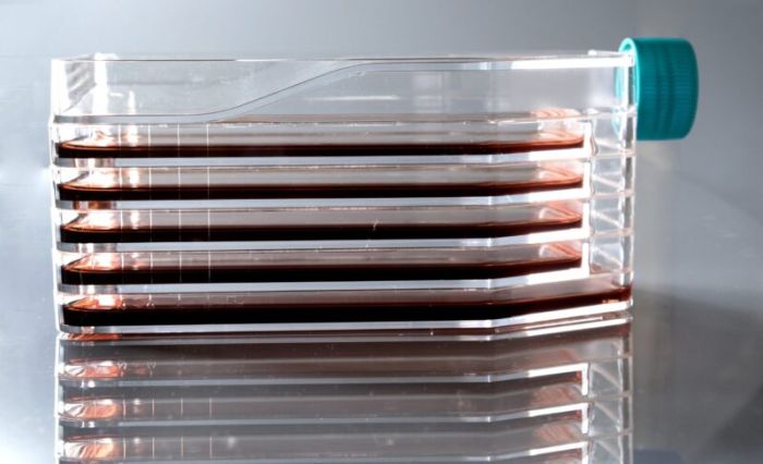 NEST Multi-layer cell culture flasks