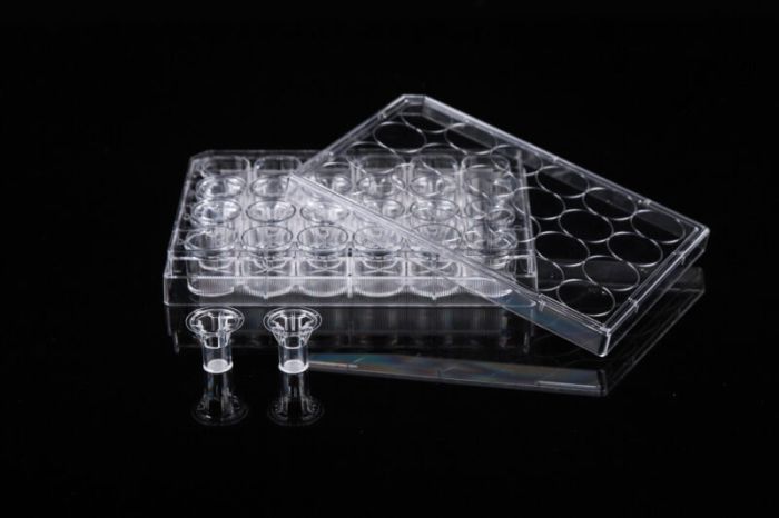 NEST Cell Culture Inserts, Tissue Culture Treated, PC Memberane
