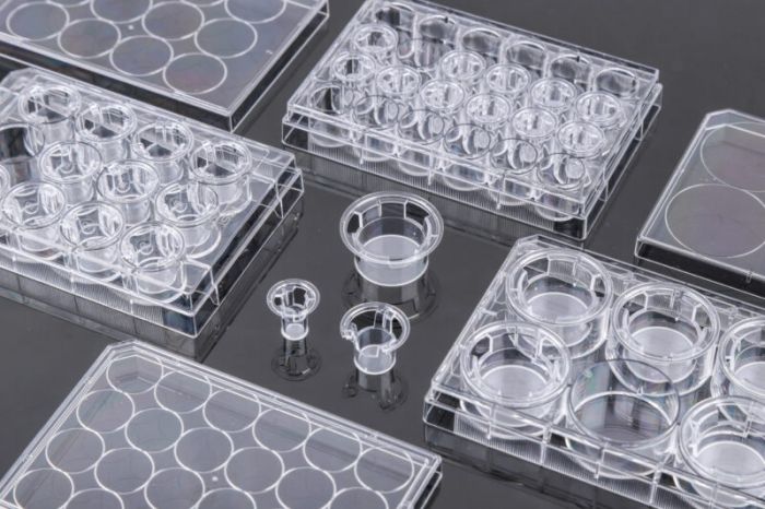 NEST Cell Culture Inserts, Tissue Culture Treated, PC Memberane