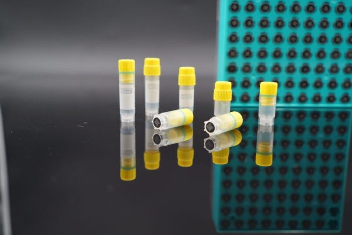NEST Cryogenic Vials, Racked with 2D barcode