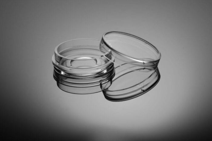 NEST Cell Culture Dishes\/ Plates Glass Bottom