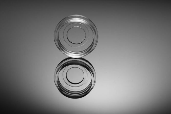 NEST Cell Culture Dishes\/ Plates Glass Bottom
