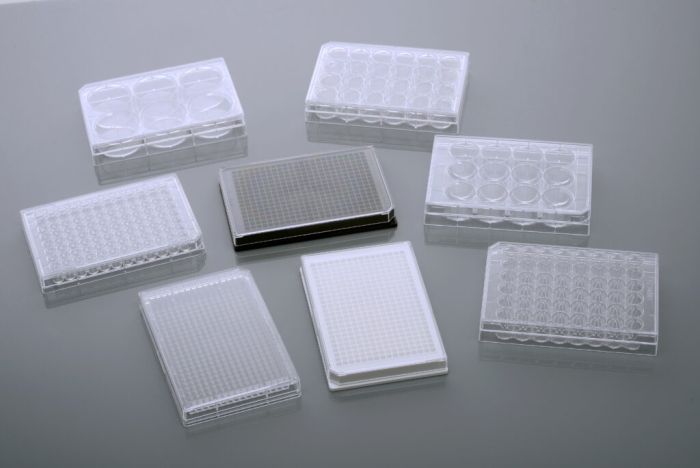 Nest Cell Culture Plates  Individually plastic wrapped