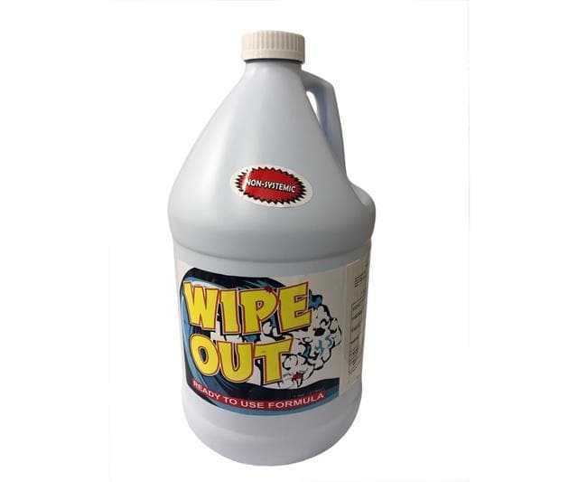 Wipe Out