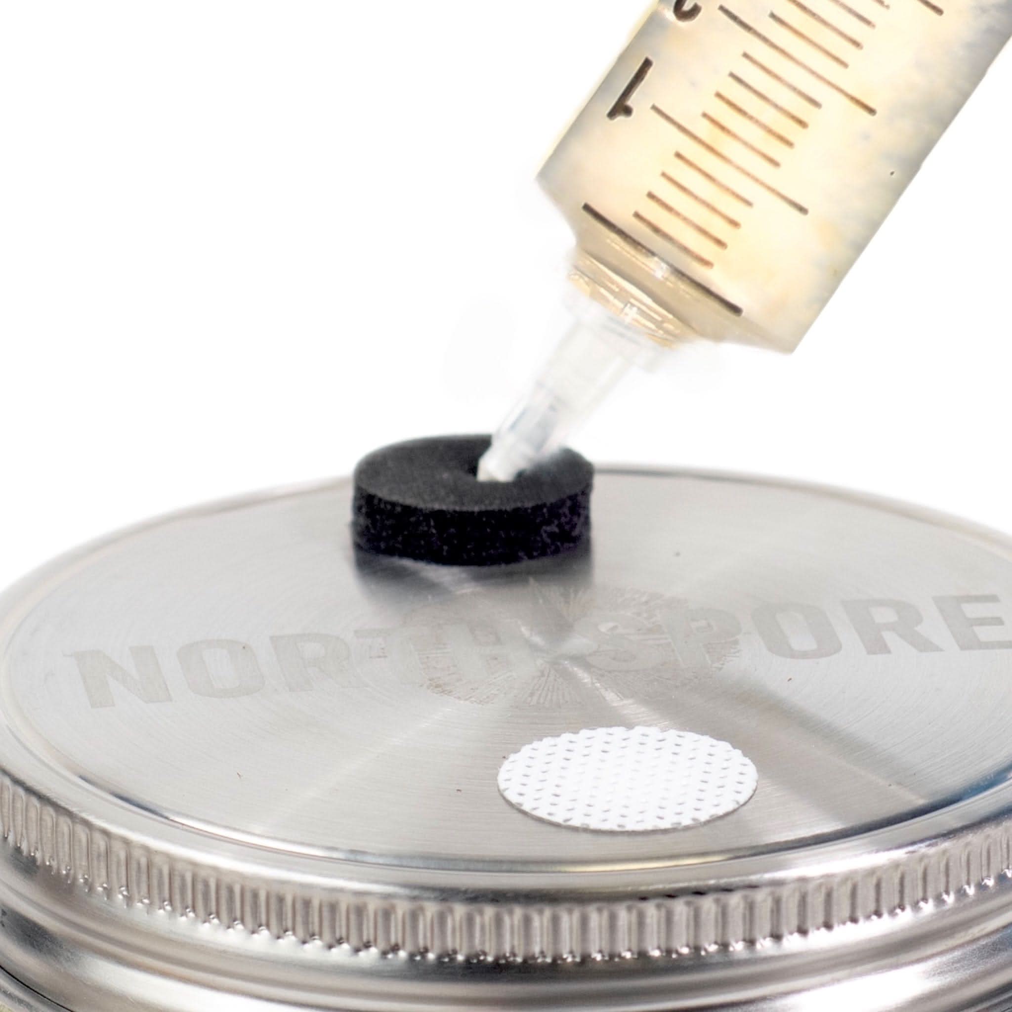6 pc. 'Regular Mouth' Culture Jar Lid with Port & Filter