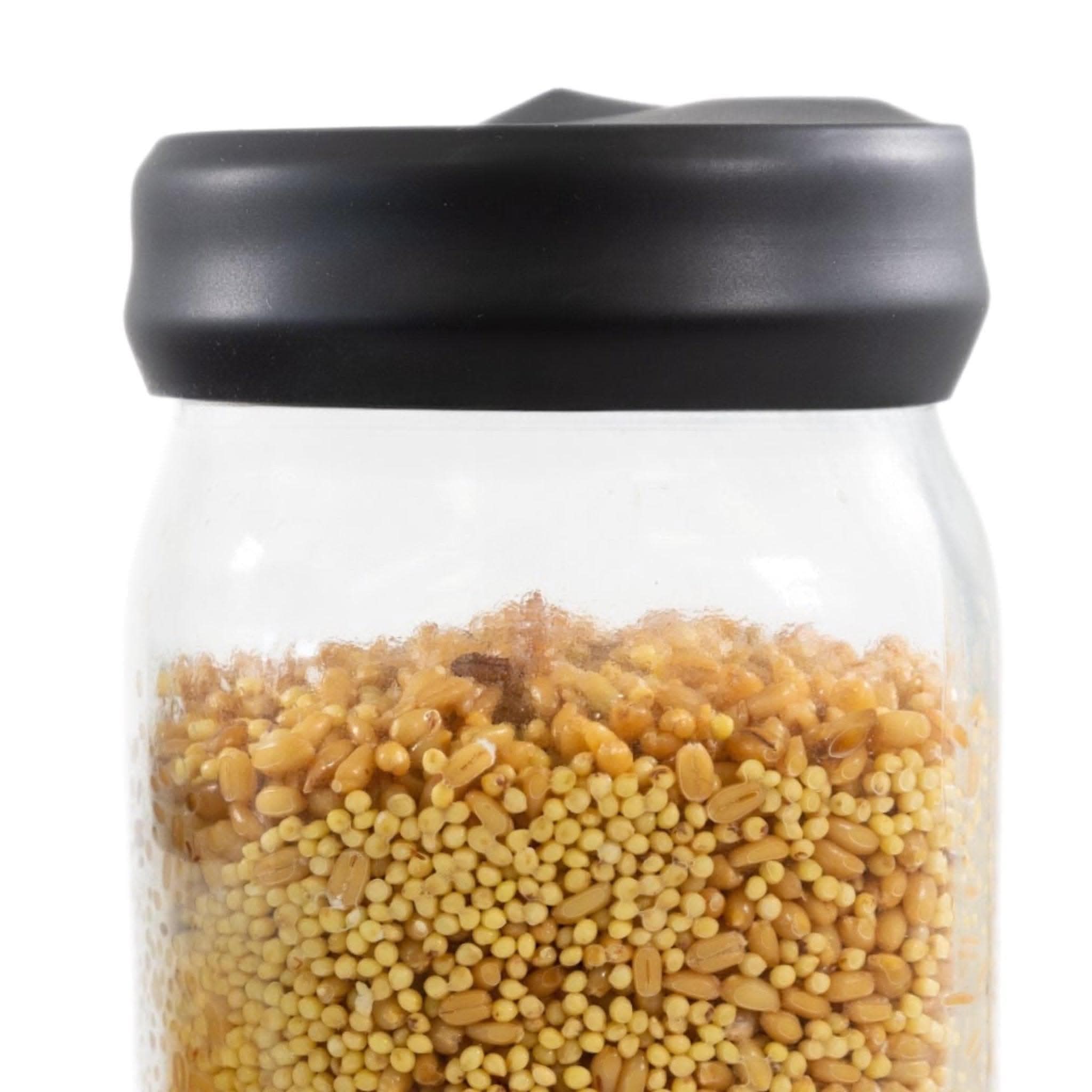 'Regular Mouth' Silicone Lid Cover for Mushroom Culture Jars