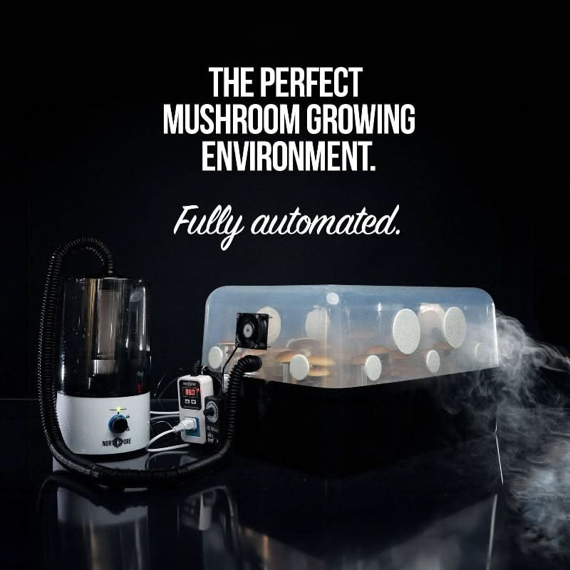 Automated 'Boomr Bin' + CVG Monotub Mushroom Grow Kit