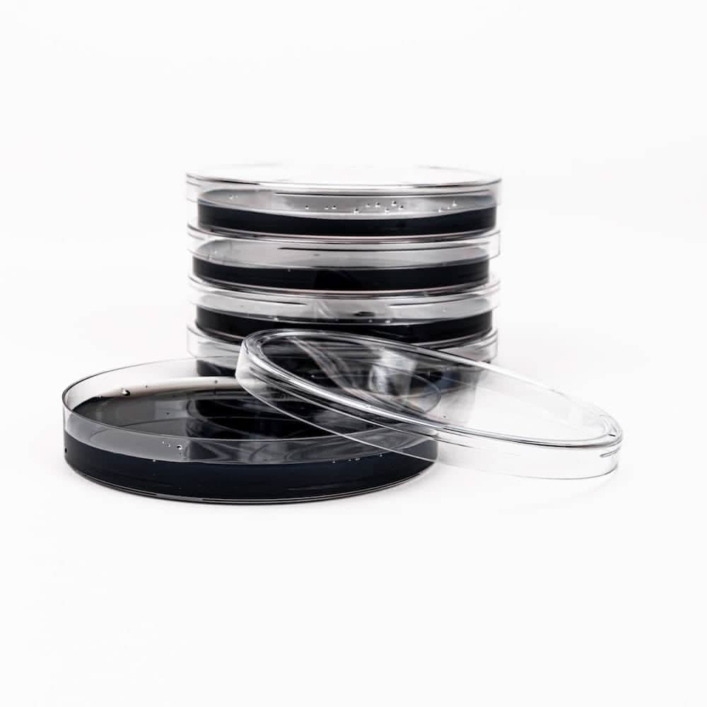 North Spore Black Biochar Pre-Poured Sterile Agar Plates