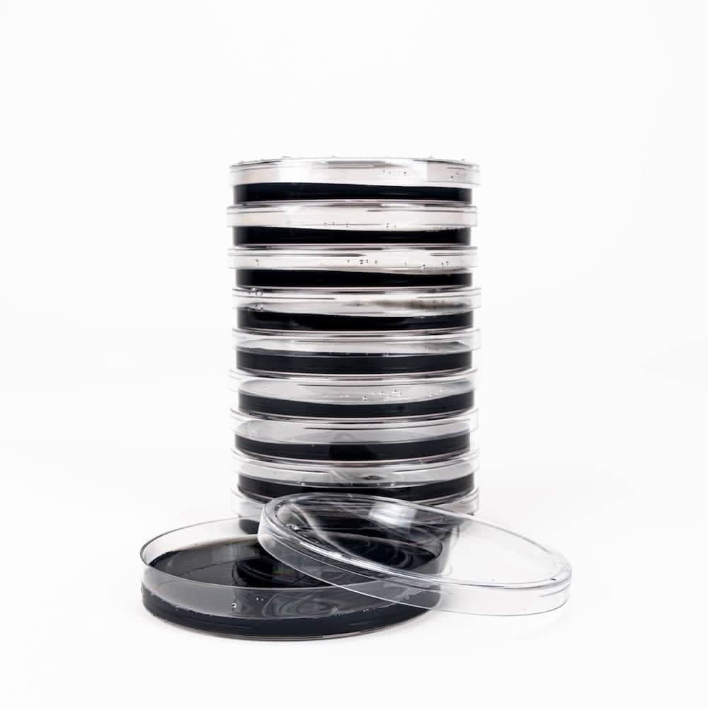 North Spore Black Biochar Pre-Poured Sterile Agar Plates