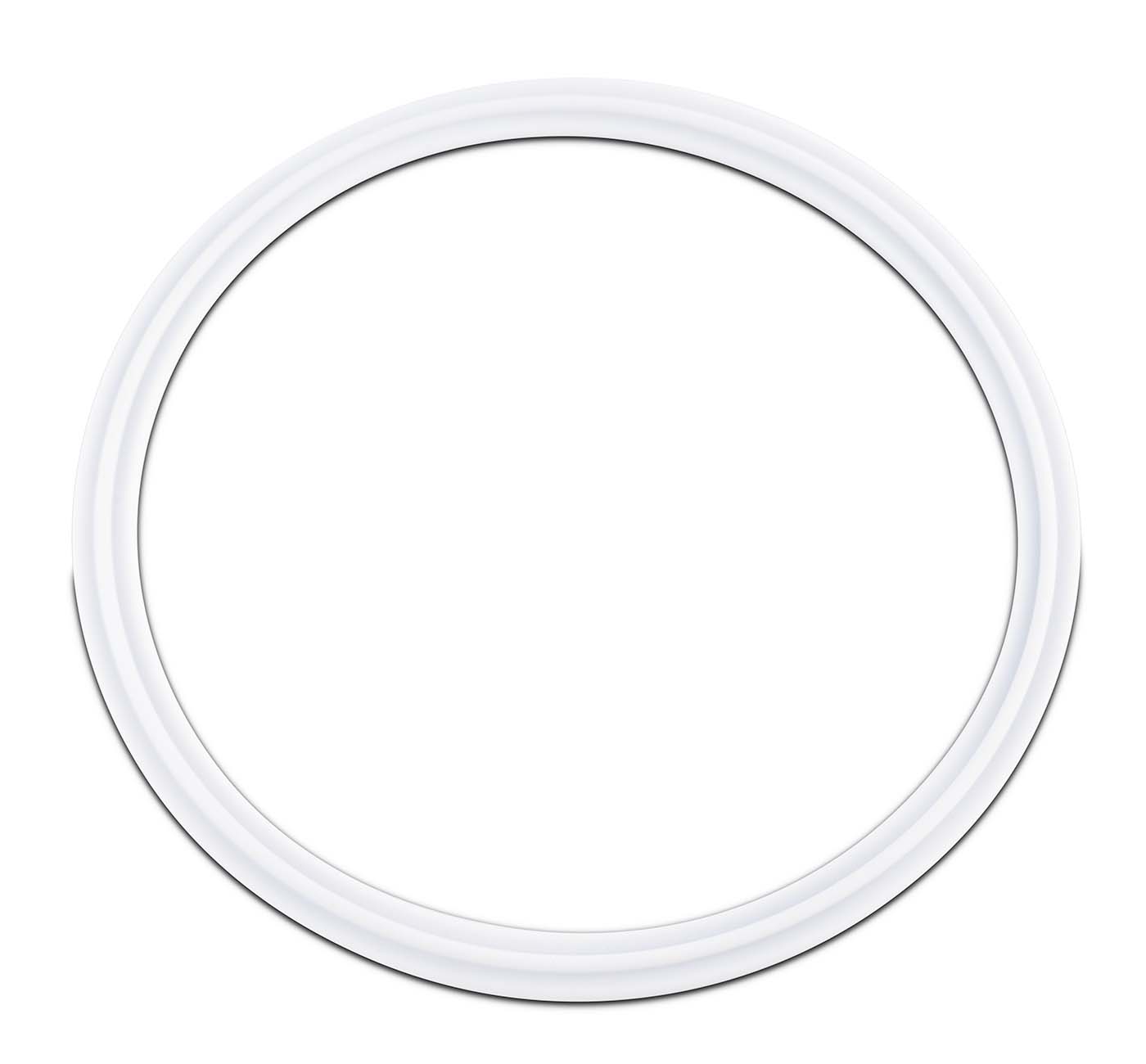 PTFE Envelope Tri-Clamp Gaskets with Viton Filler