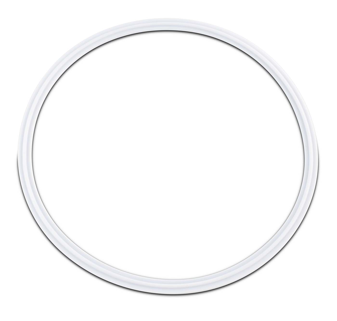 PTFE Envelope Tri-Clamp Gaskets with Viton Filler