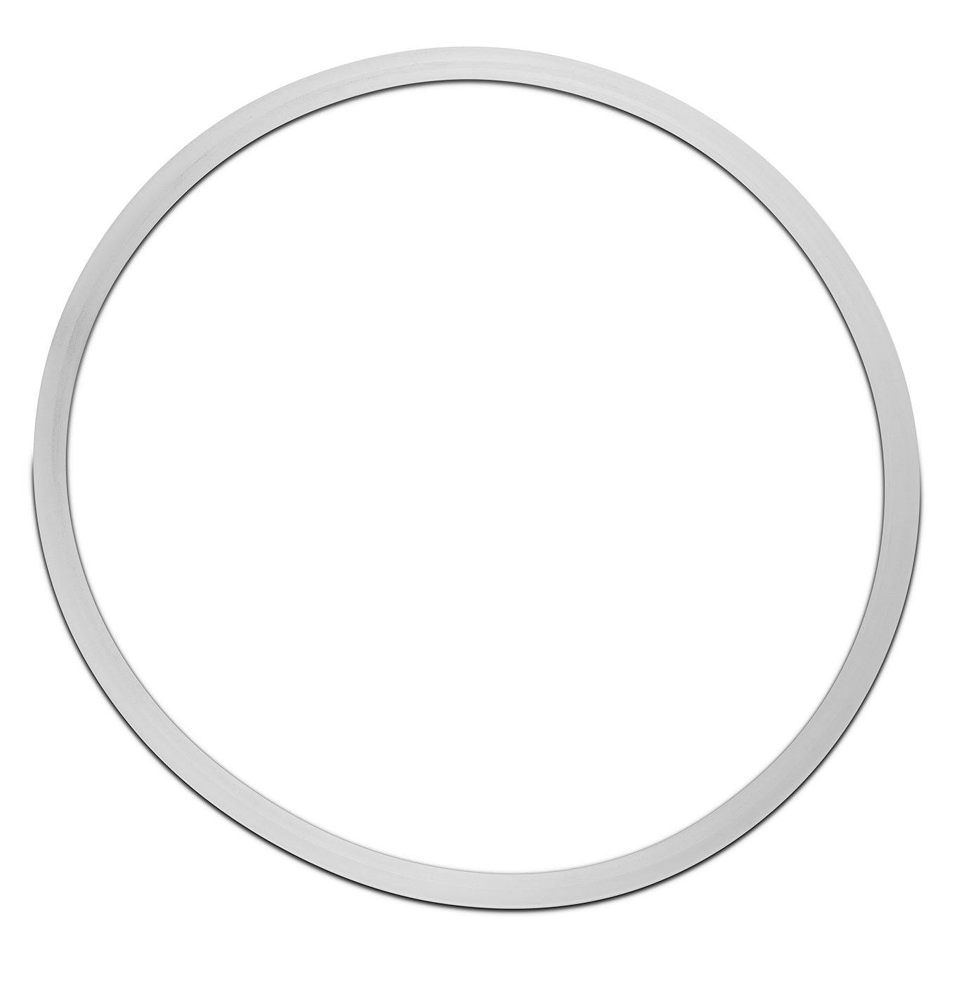 Replacement Gasket for Dutch Weave Sintered Filter Disks - Silicone