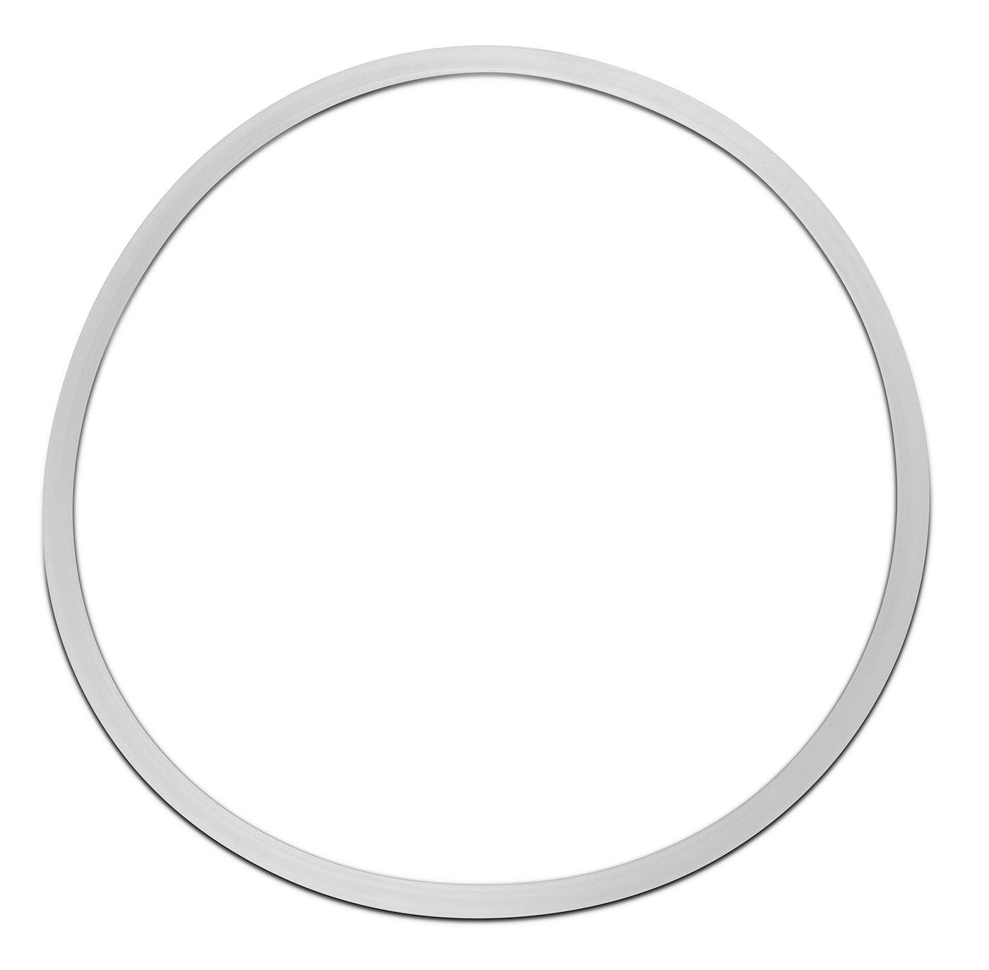 Replacement Gasket for Dutch Weave Sintered Filter Disks - Silicone