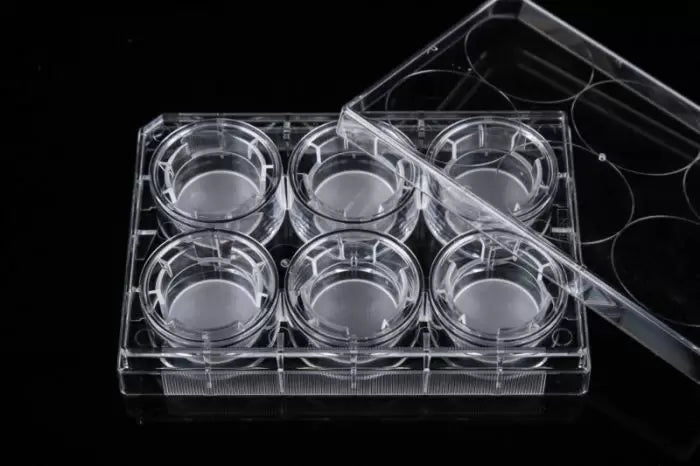 Across International NEST Cell Culture Inserts, Tissue Culture Treated, PET Memberane