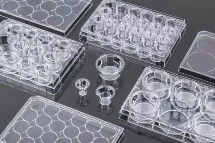 Across International NEST Cell Culture Inserts, Tissue Culture Treated, PET Memberane