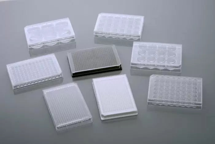 Across International Nest Cell Culture Plates  Individually plastic wrapped