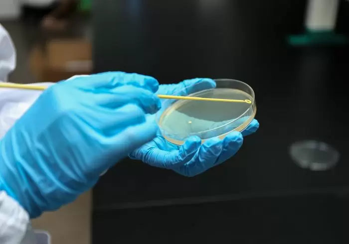 Across International NEST Bacterial Culture Petri Dishes